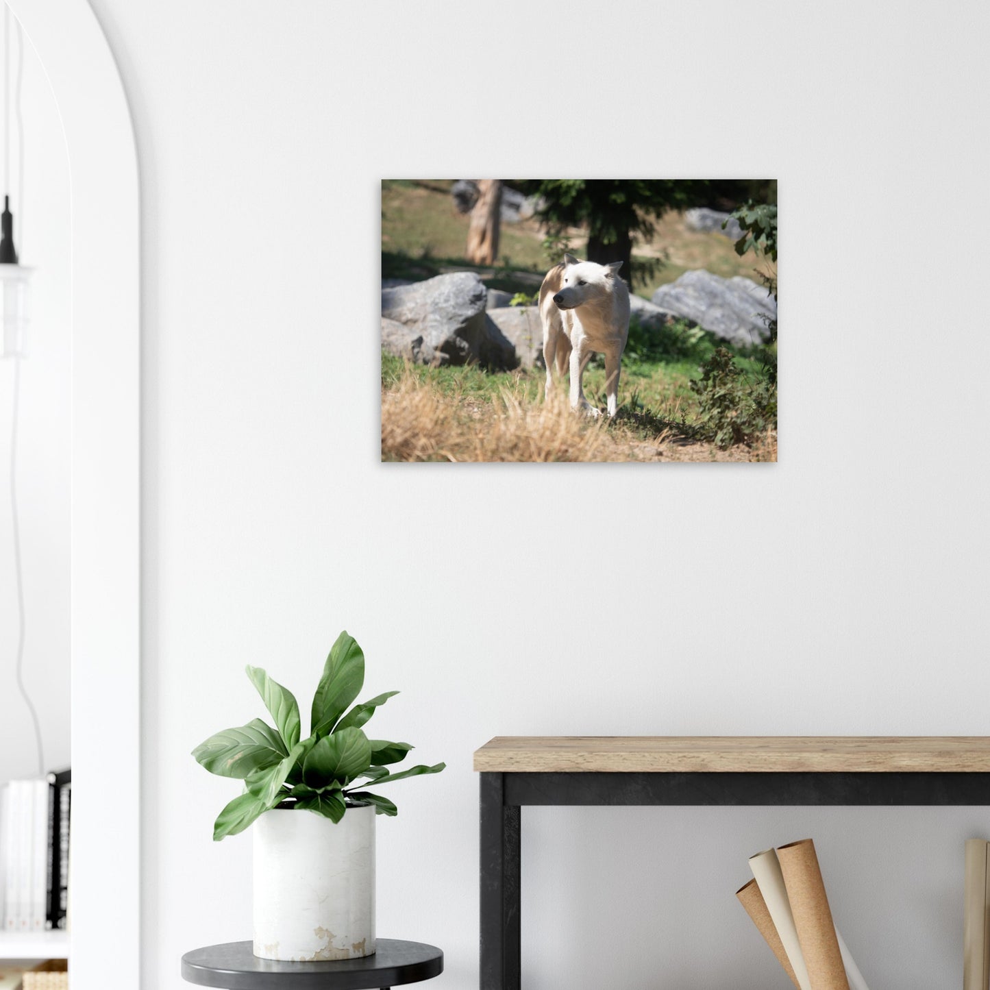 White wolf - Wall decoration
