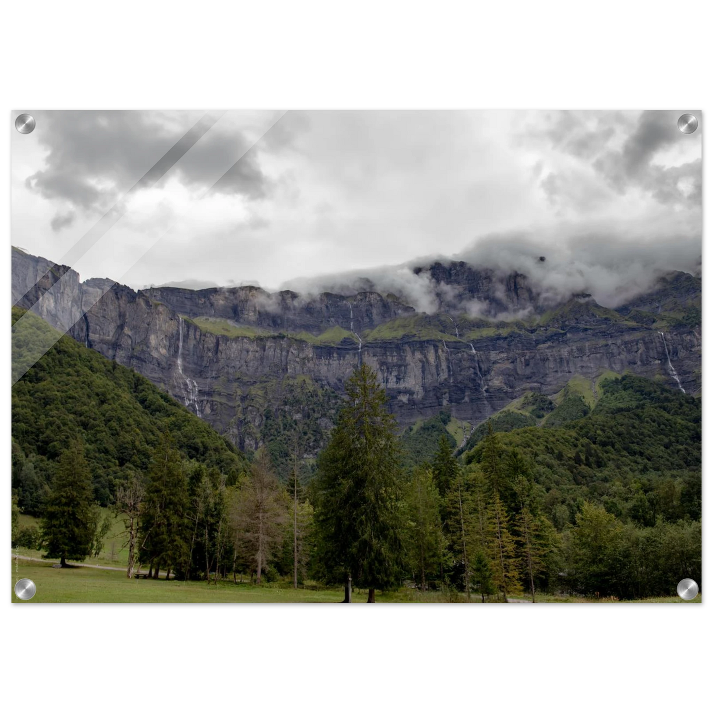 6d513916-0a7d-4fbd-9fb3-07db938178f0