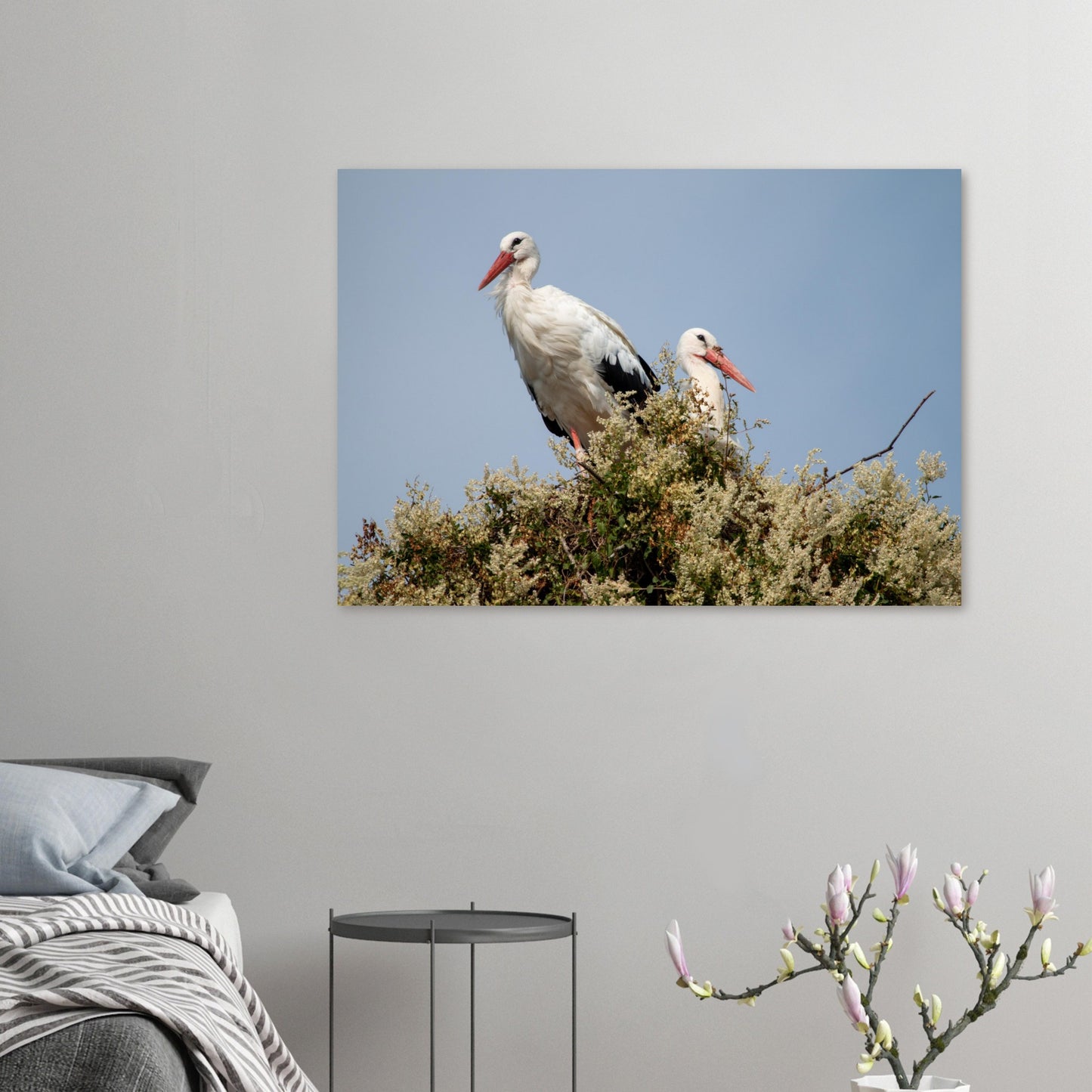 cigognes - Tableaux et posters de qualité, disponibles en différentes dimensions et matières.