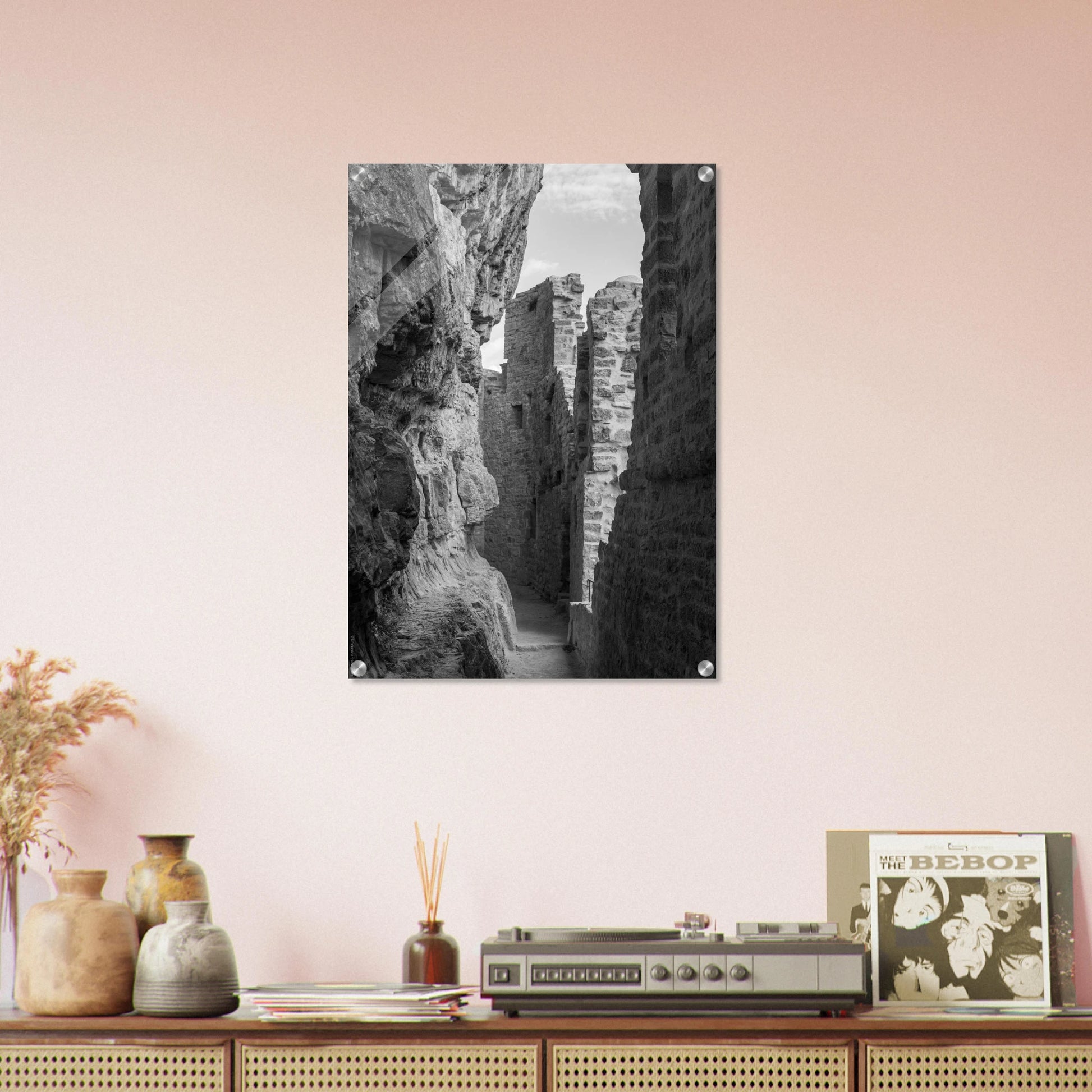 793e8732-3a89-4b54-9065-e6878717ecd6