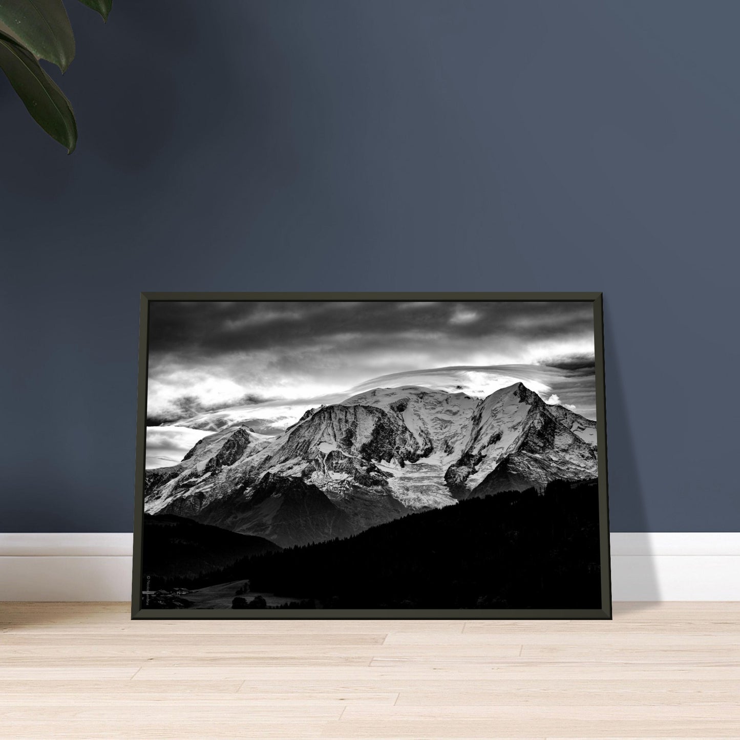 82d801bb-cb36-4d73-84ae-7c82240baedb