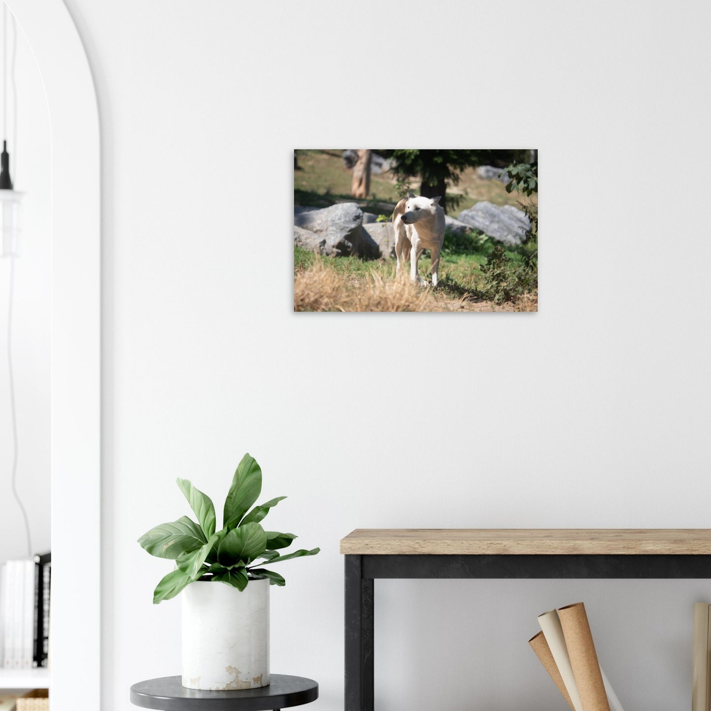 White wolf - Wall decoration