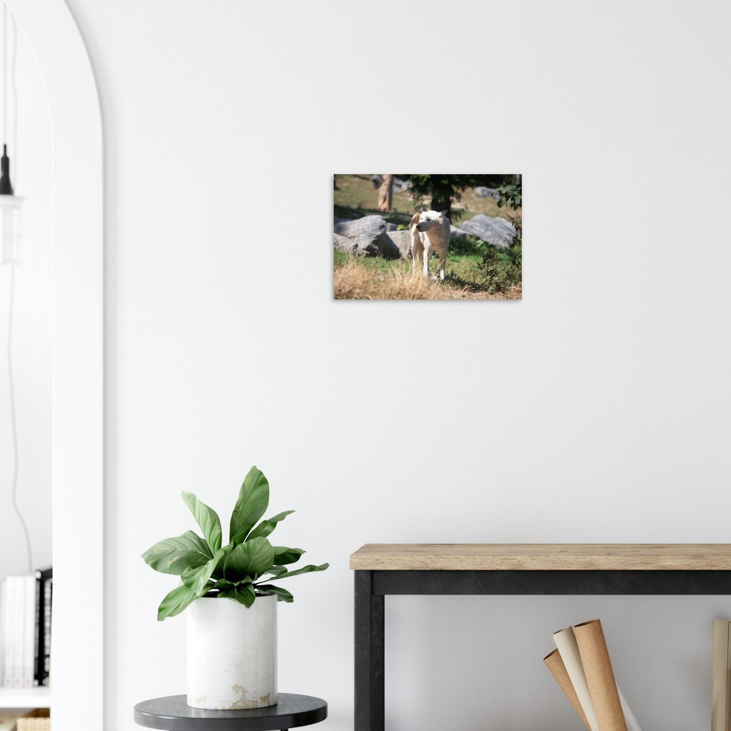 White wolf - Wall decoration