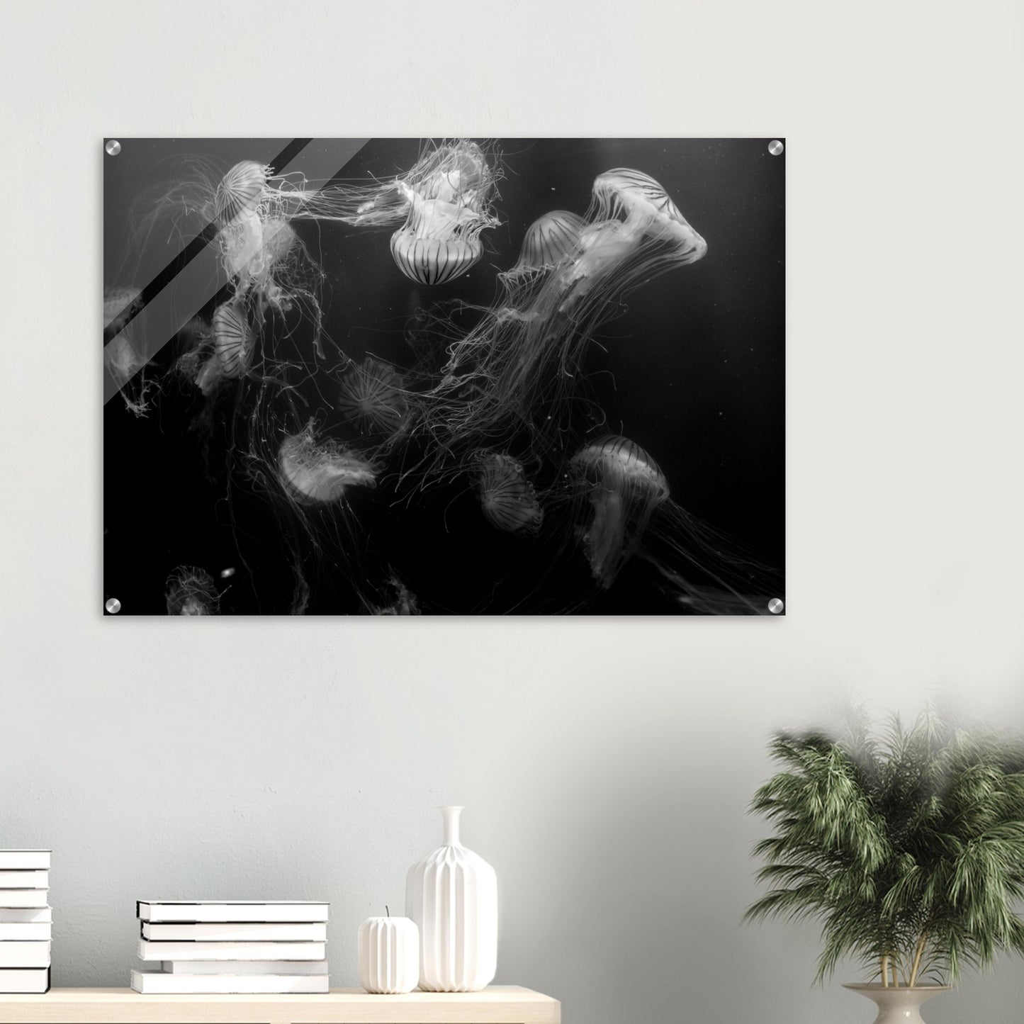 Méduses - Noir & Blanc - Décoration murale