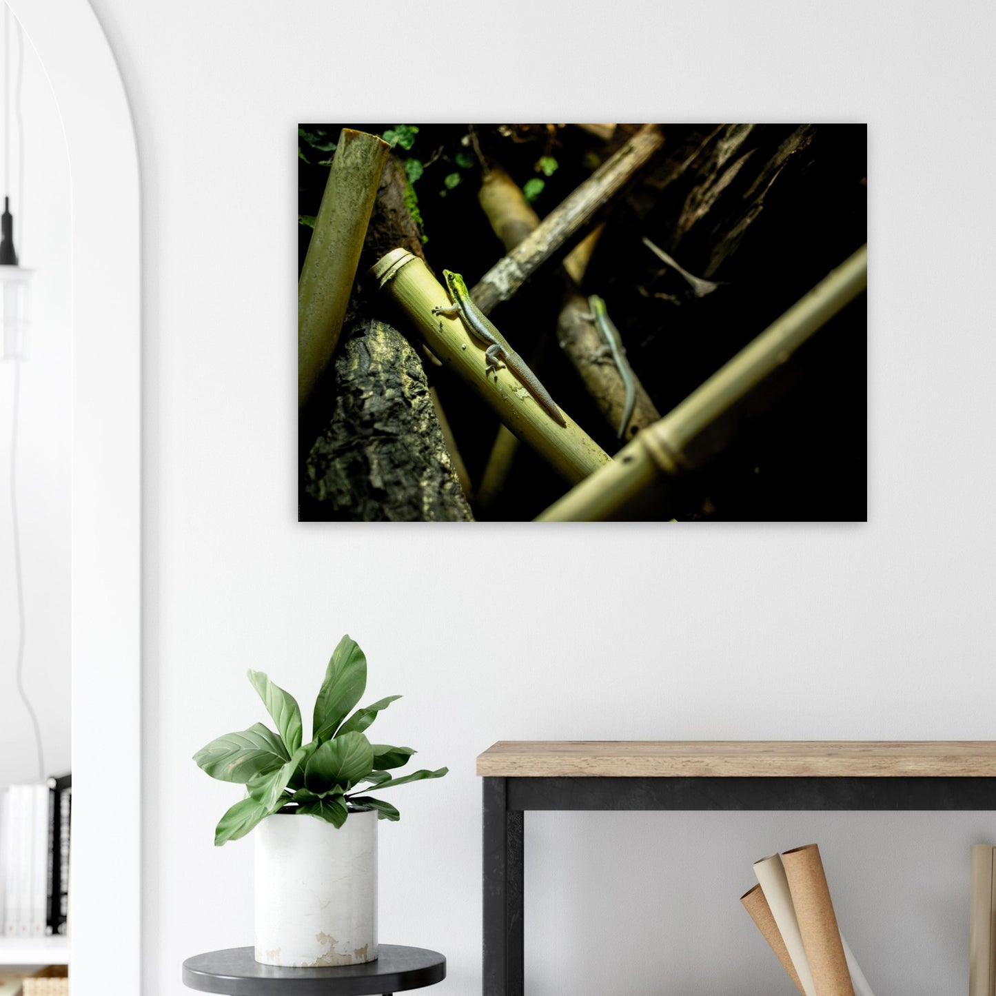 gecko klemmer - Tableaux et posters de qualité, disponibles en différentes dimensions et matières.