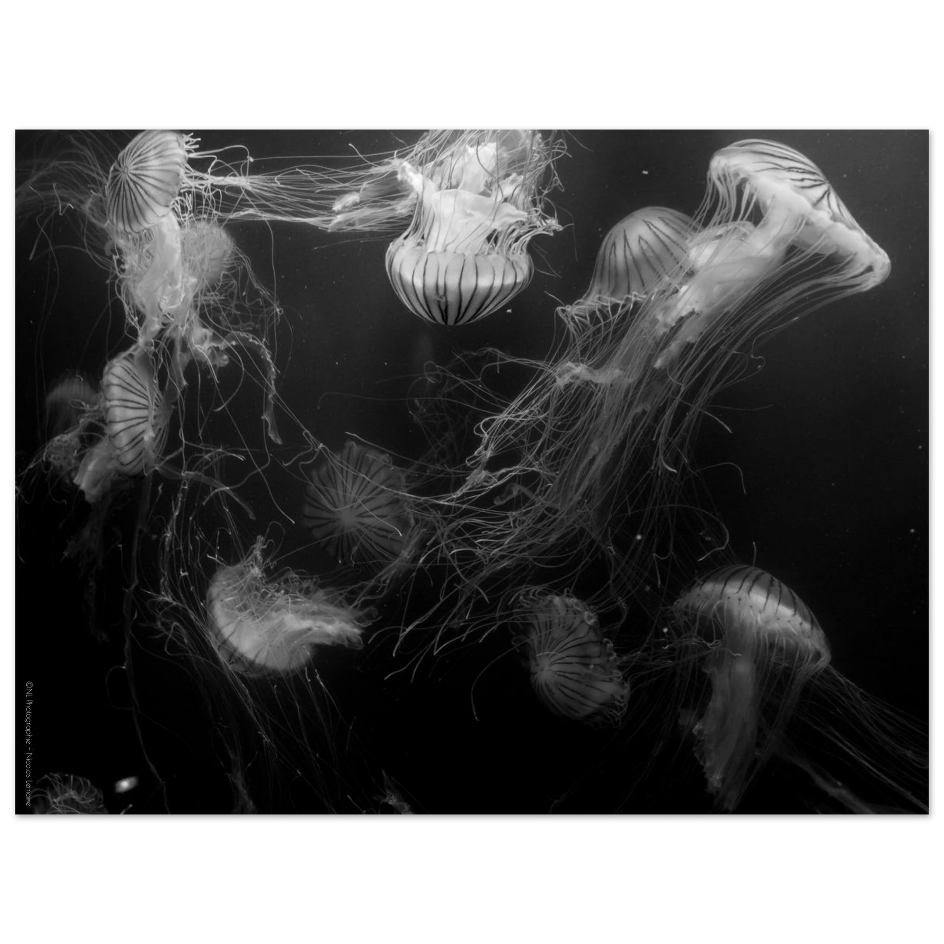 8cf97632-06bb-40ed-86b4-d229637d803f