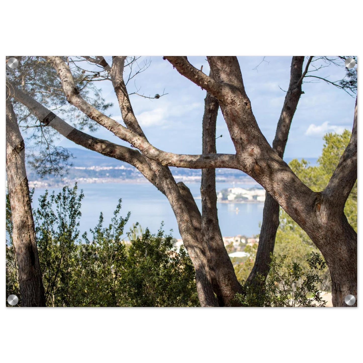 8d7e9635-d35e-4f0d-9dfe-0a6734aab458