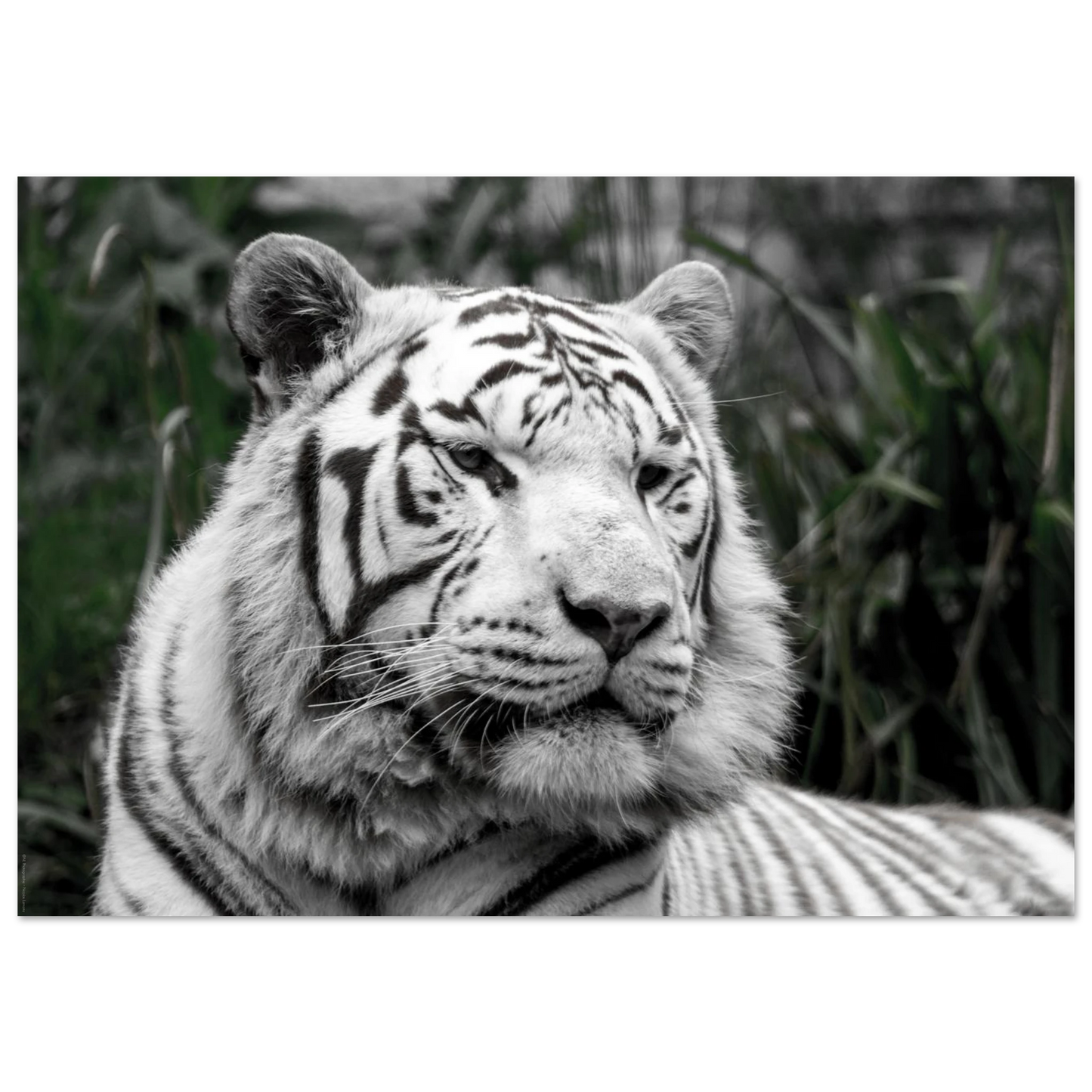90b60ed3-c658-4733-be76-1da9c01610f3