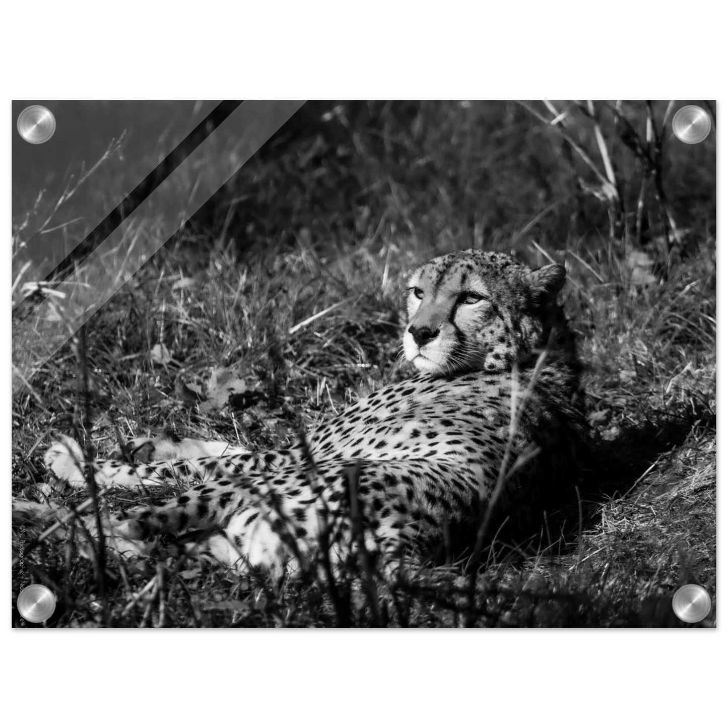 93bc08df-4d67-46e5-a899-87737f5eee40