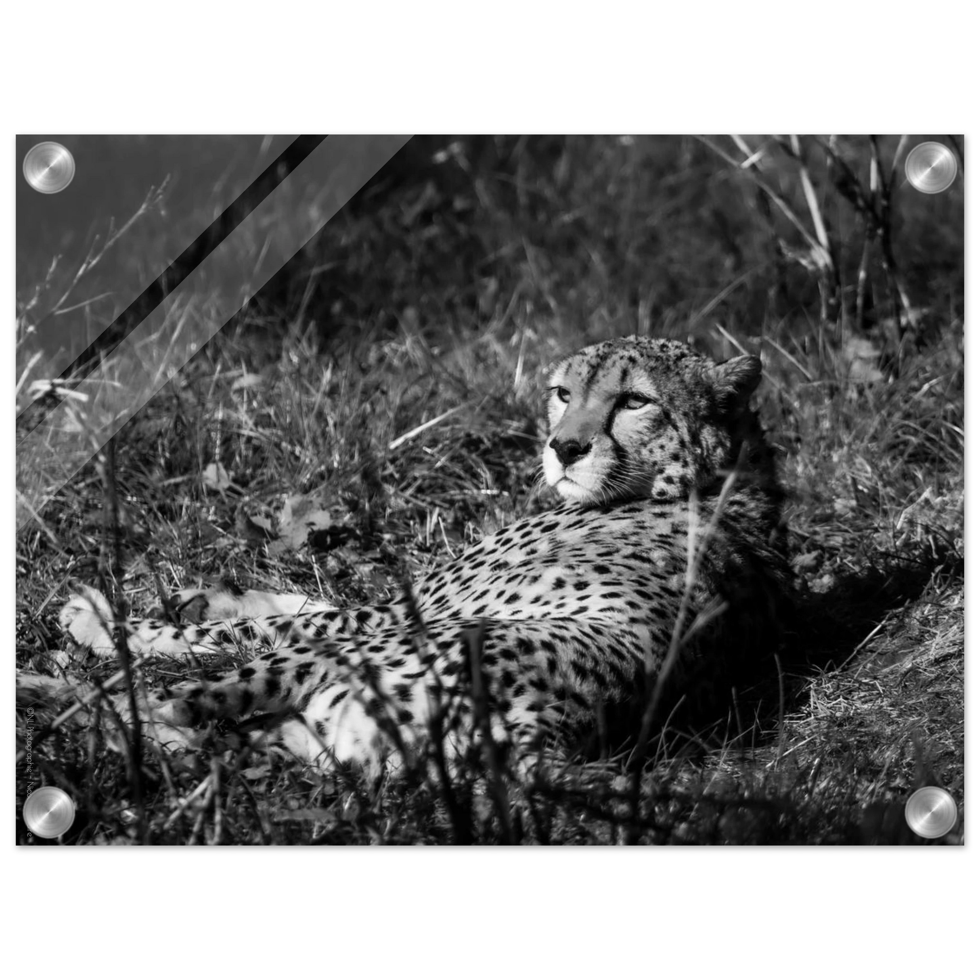 93bc08df-4d67-46e5-a899-87737f5eee40