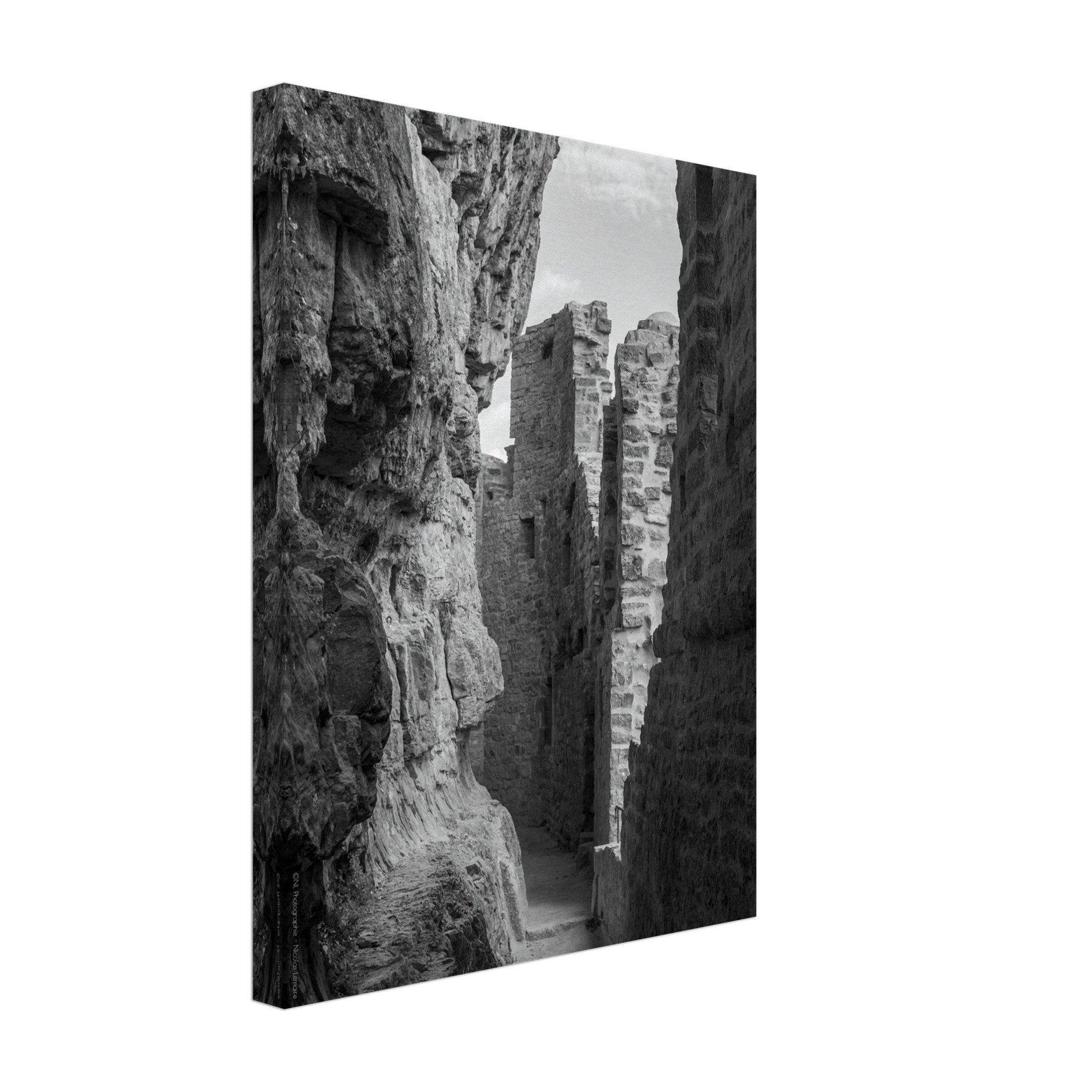 99b53e5d-a2fa-45ab-91cd-bc711338c421