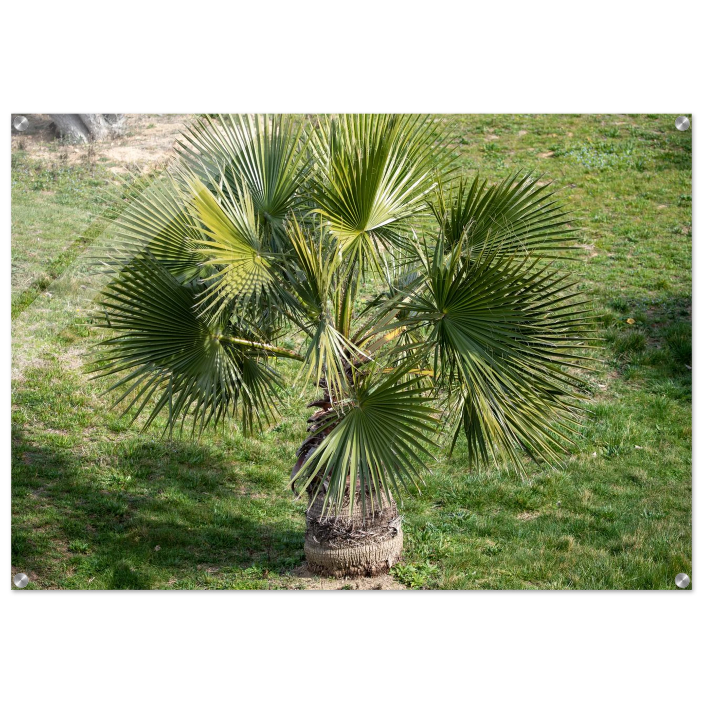 a779d205-abbf-48cd-bf9e-5ad38fbfc5b5
