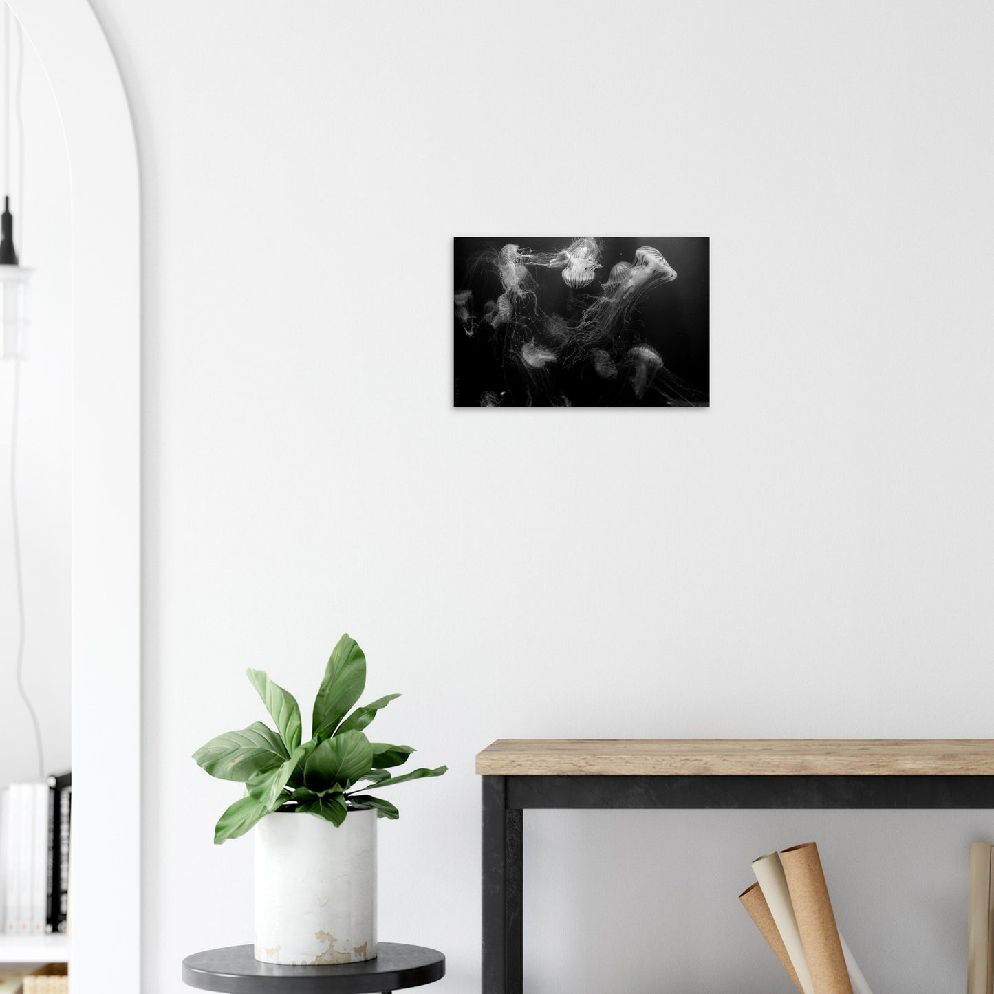 Méduses - Noir & Blanc - Décoration murale