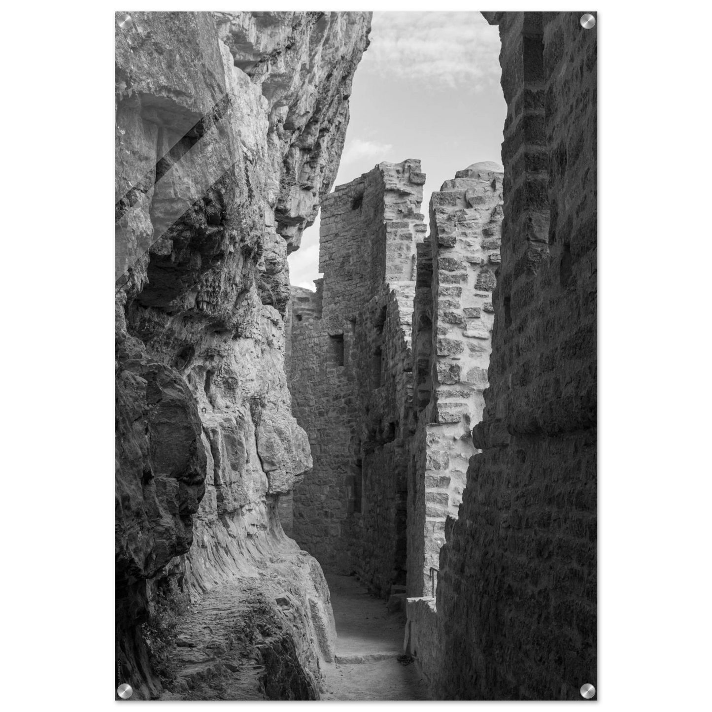 ae8b005d-d01f-4a88-b209-c585cf49b92e