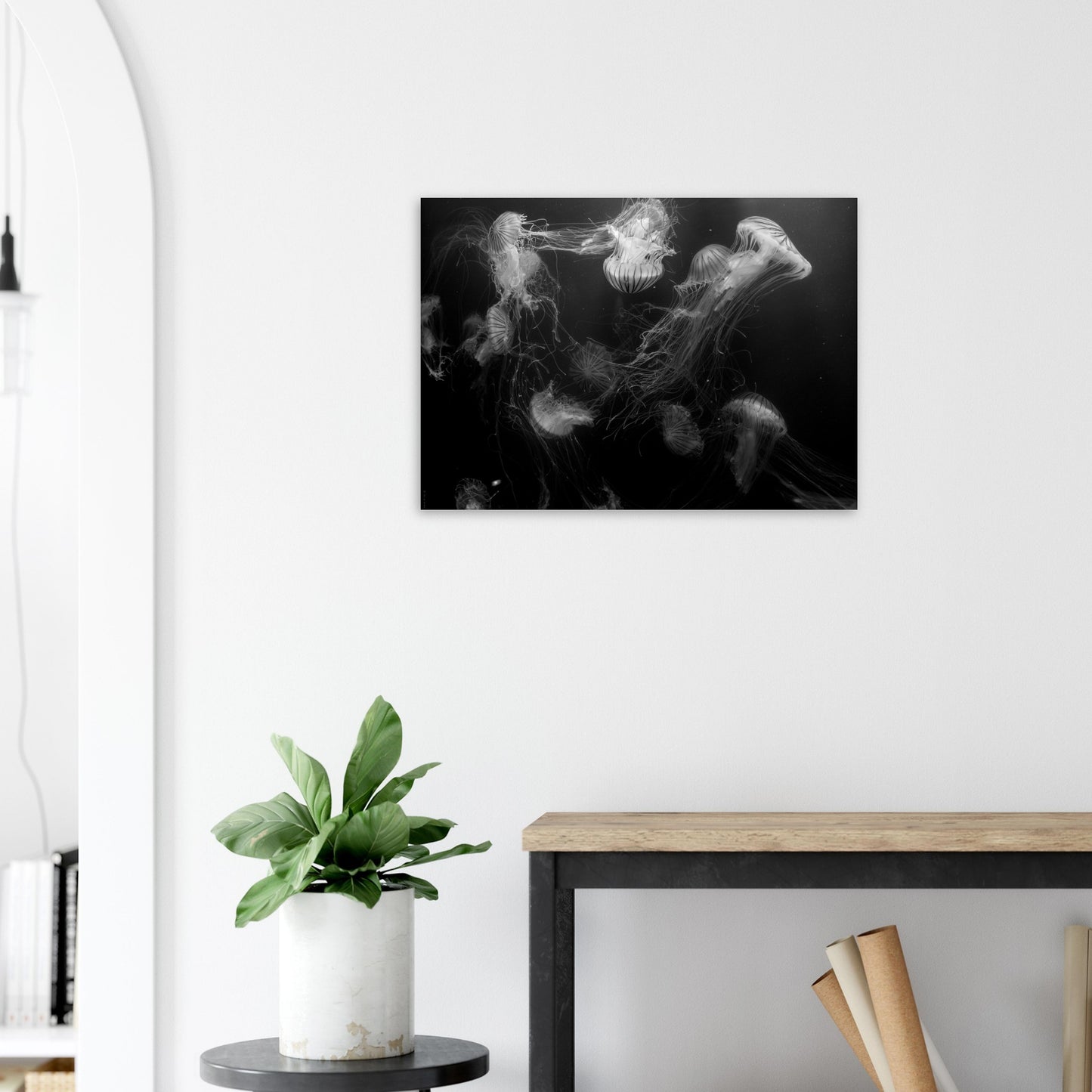 Méduses - Noir & Blanc - Décoration murale