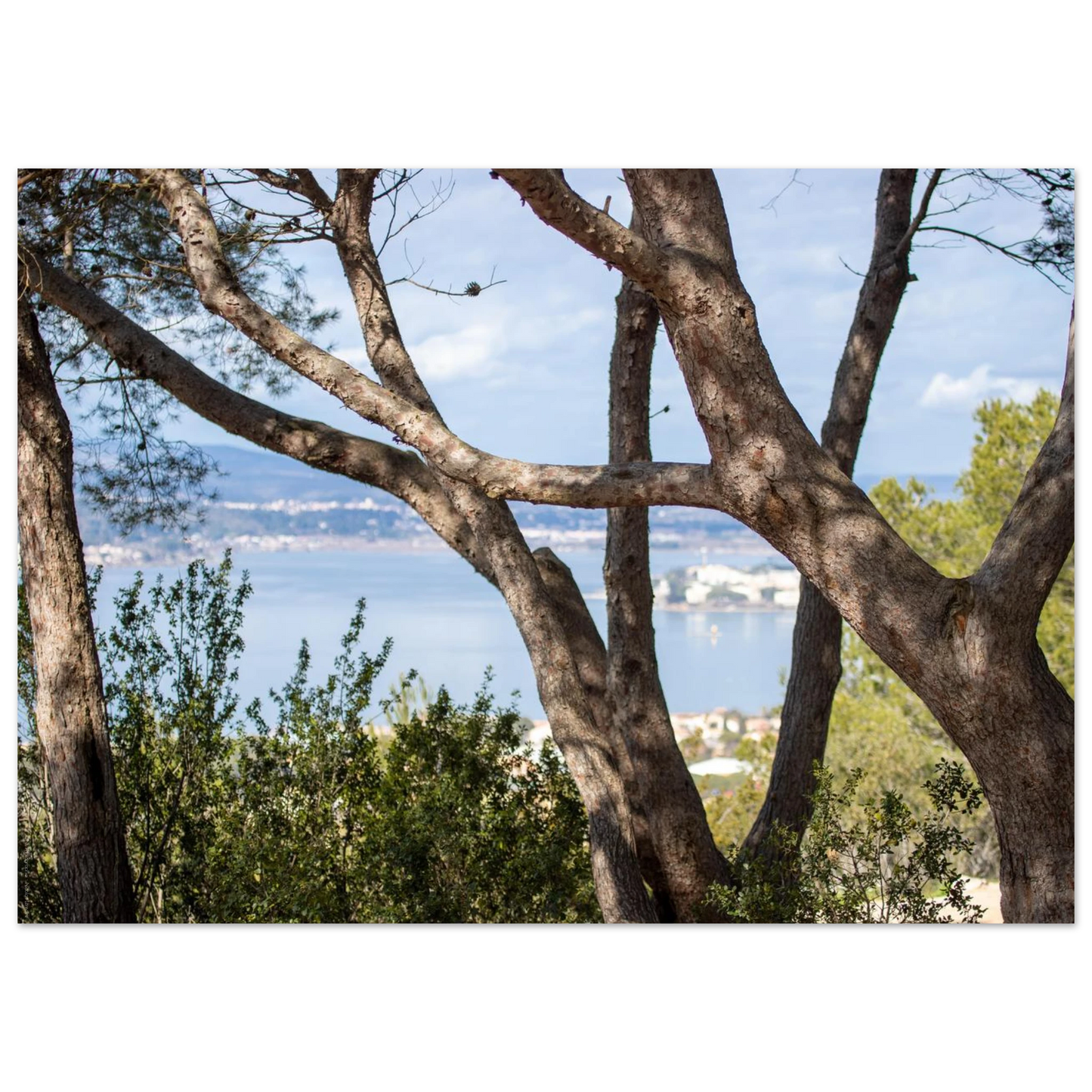 b198caea-cdcc-4384-bd4e-1f6ab7cb18cf