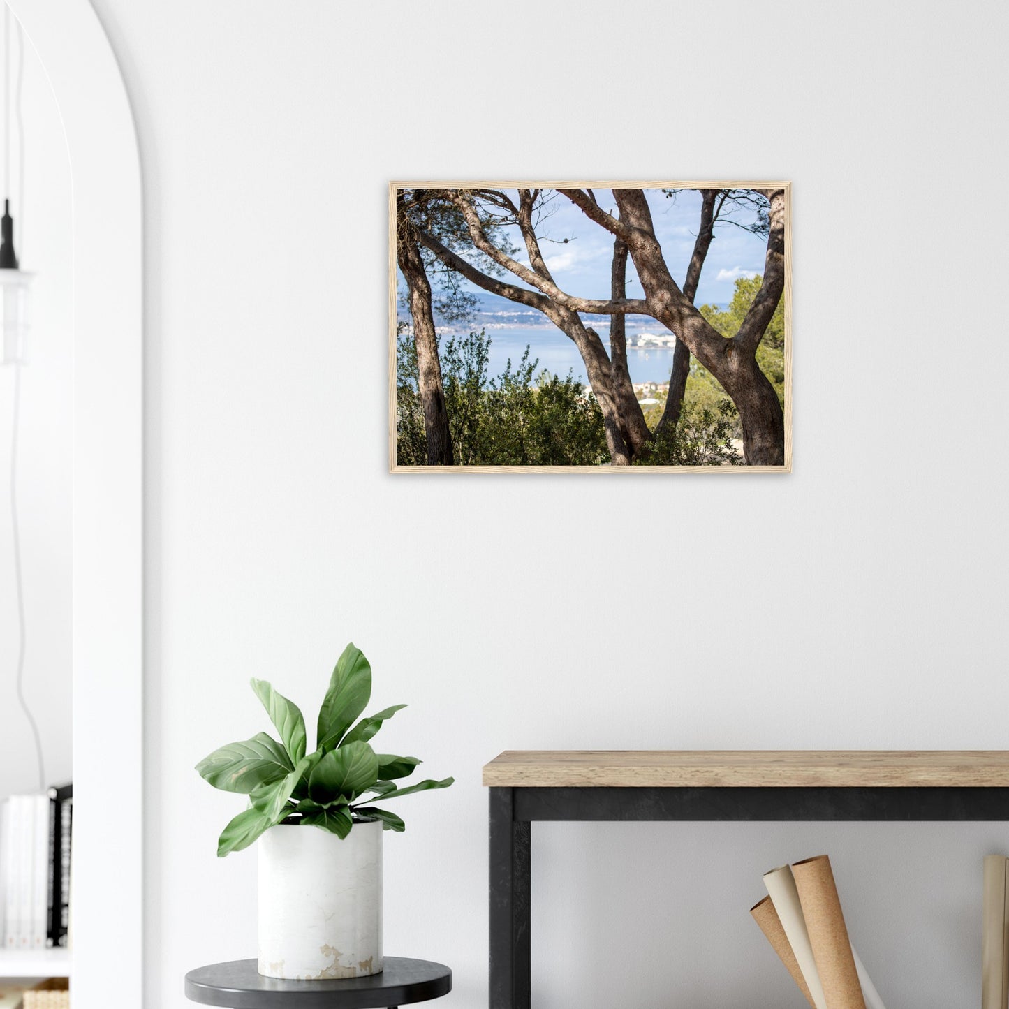 Arbres, étang de Thau - France