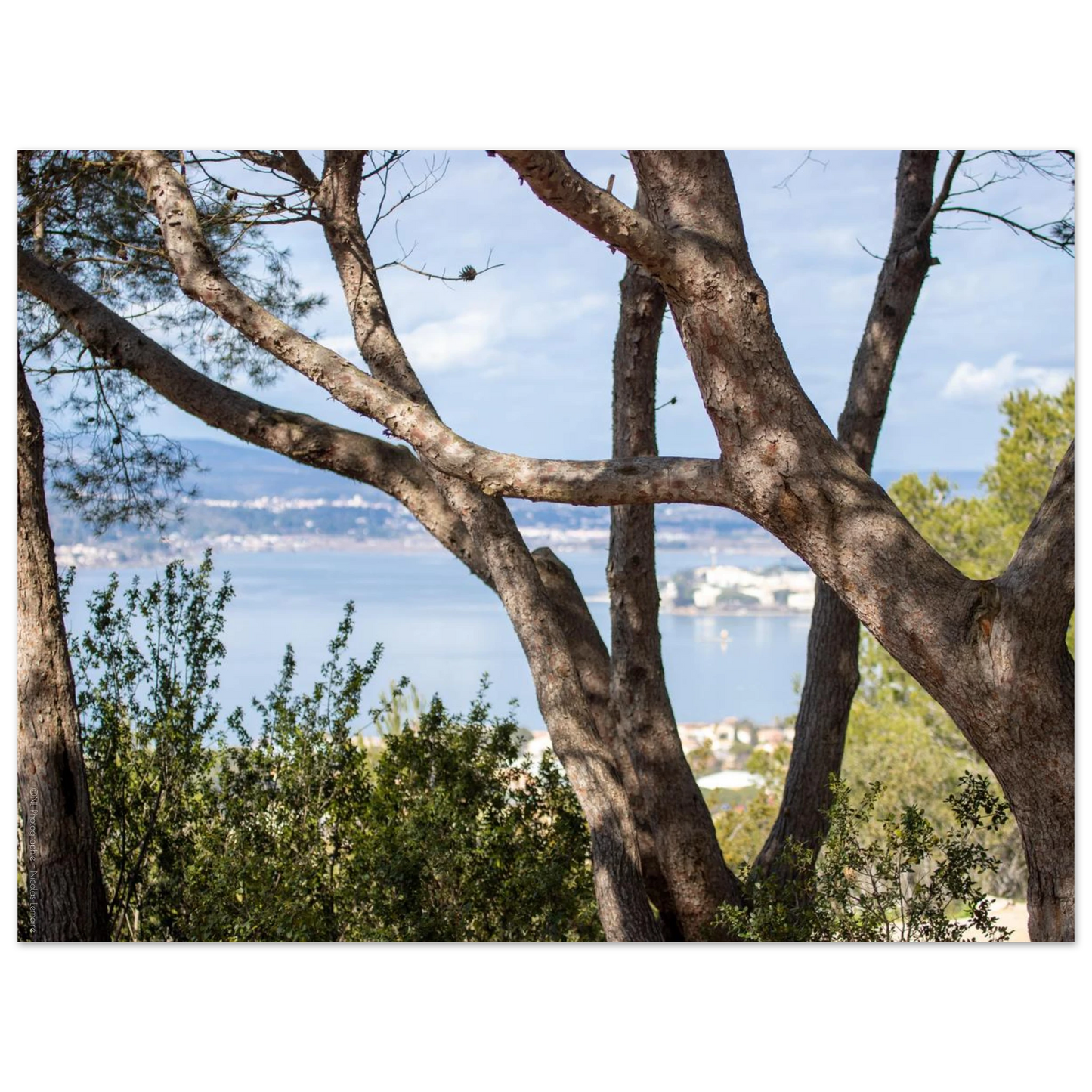 baad976b-a474-4aa7-ad5b-94d8e26a21b7