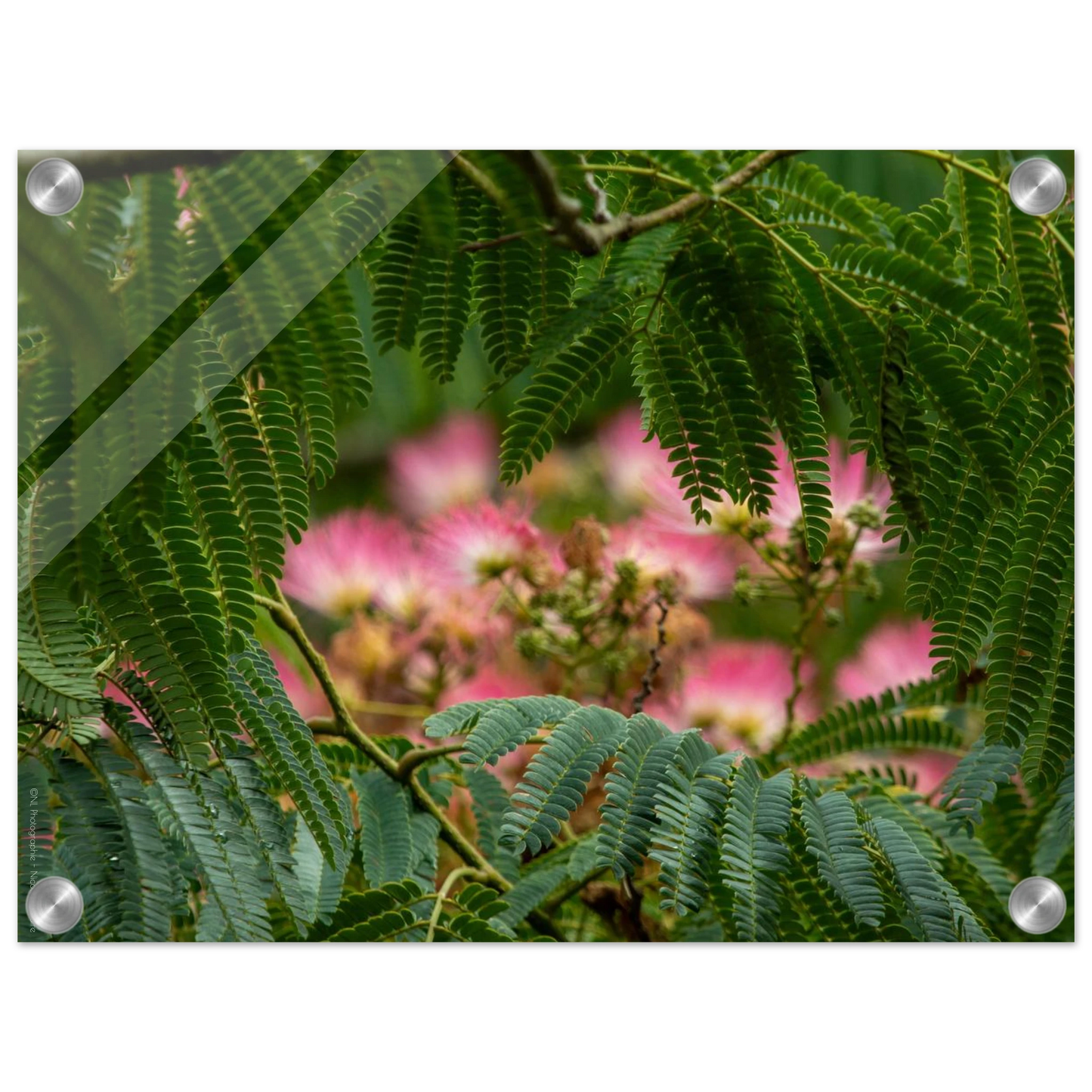 bbf93551-f64e-4e45-aab1-abd3a9f3b71a