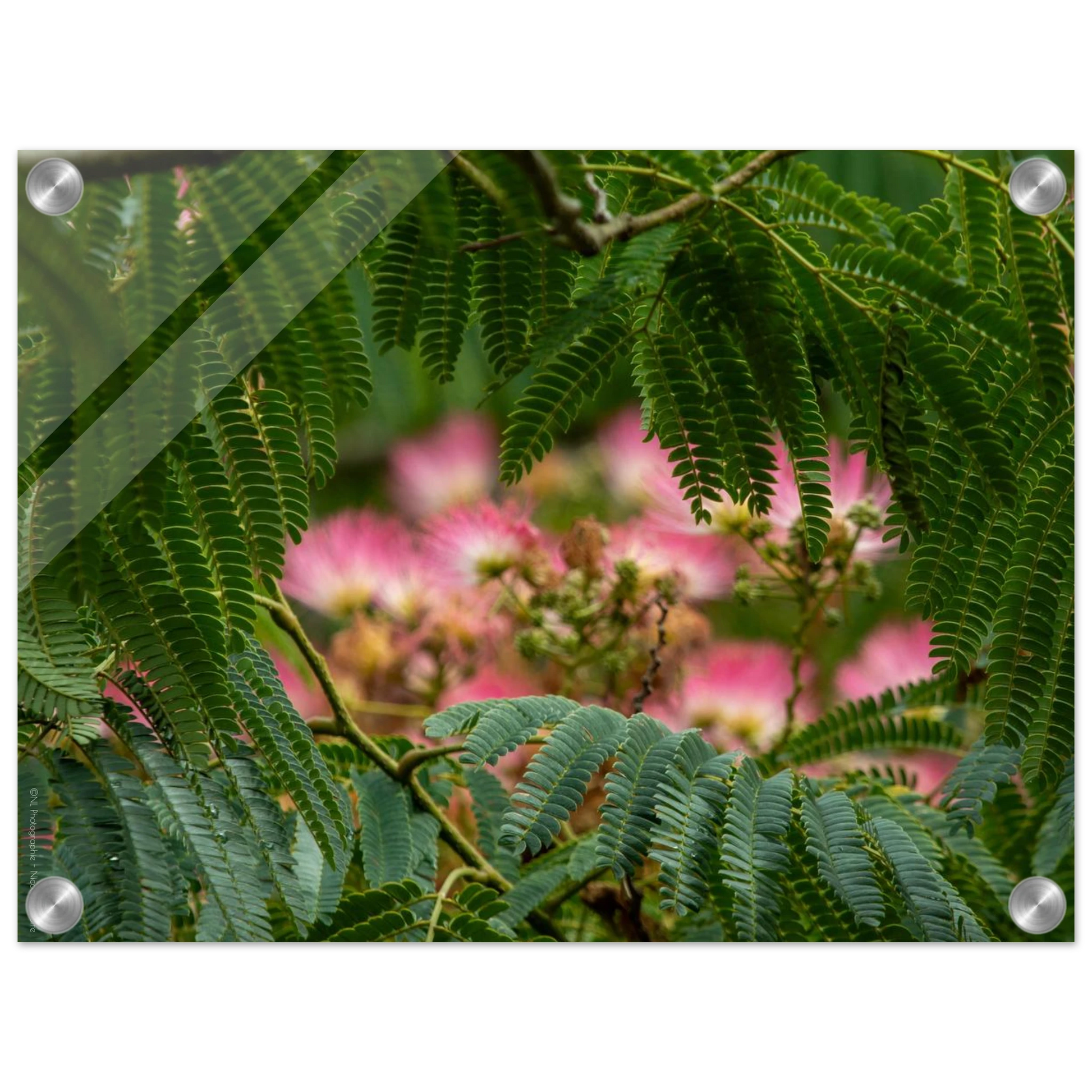 bbf93551-f64e-4e45-aab1-abd3a9f3b71a