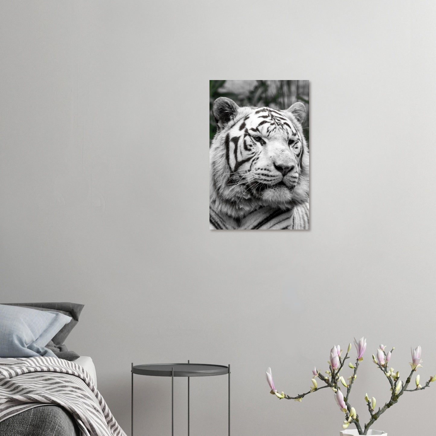 Tigre blanc - Décoration murale