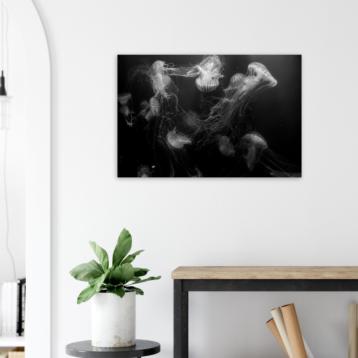Méduses - Noir & Blanc - Décoration murale