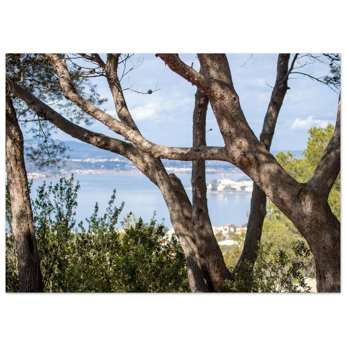 c27a9d43-1dff-4bb2-82fd-31cb85943c20