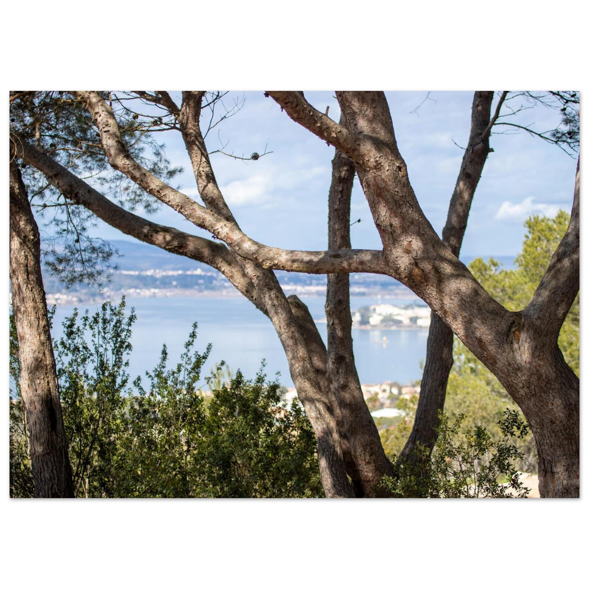 c27a9d43-1dff-4bb2-82fd-31cb85943c20