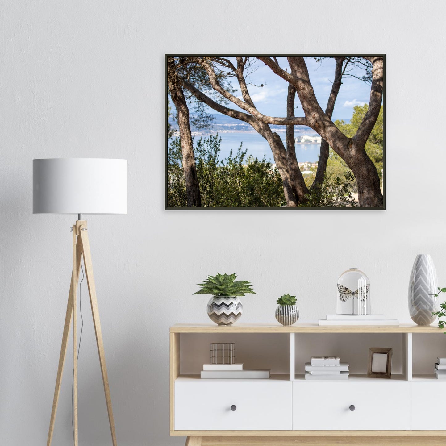 Arbres, étang de Thau - France