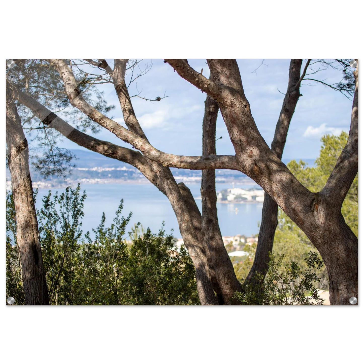 ccd1a0c6-2704-4aa3-a01d-70df391c1a5e