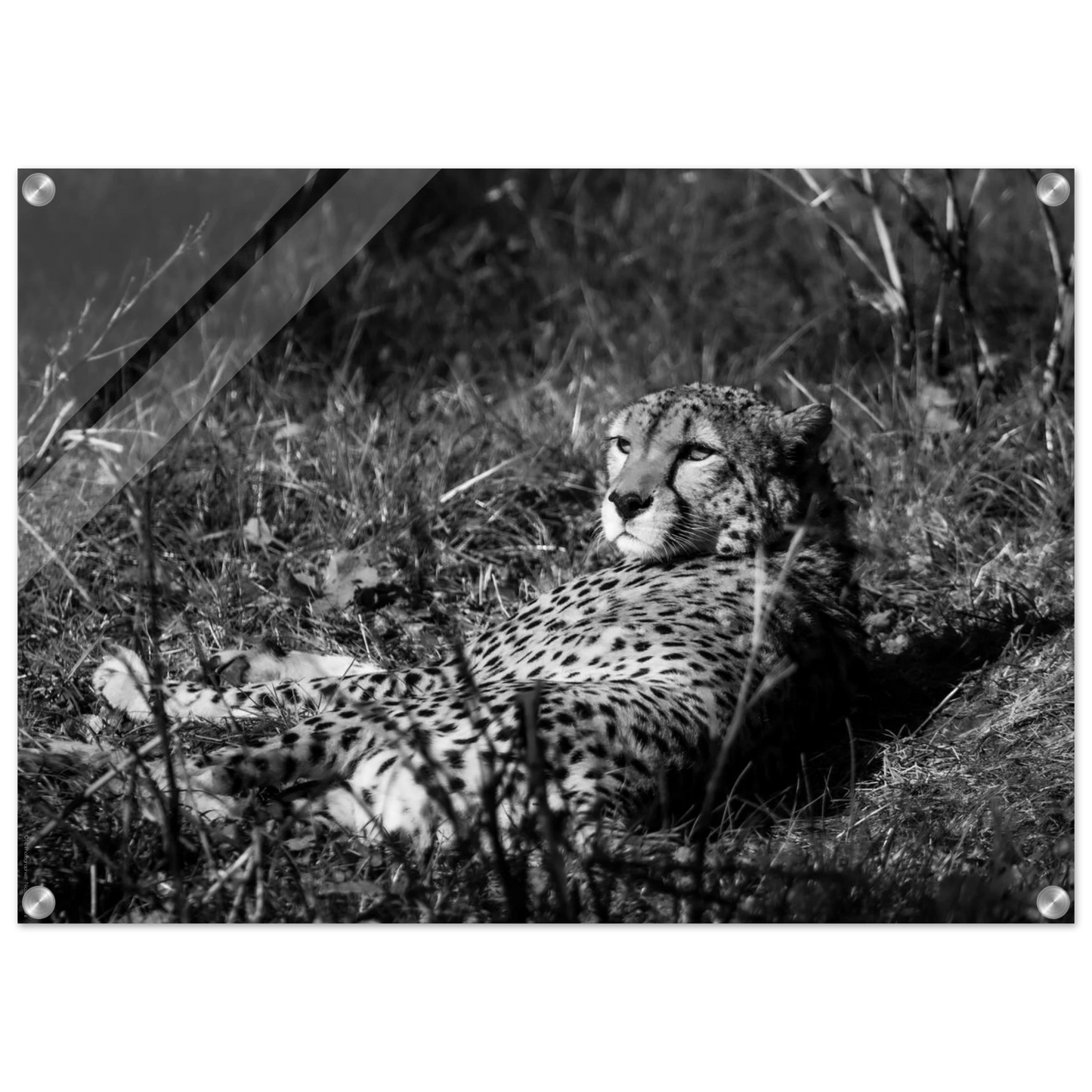 d164e04a-3eab-45ed-8ec1-82685f0b5536