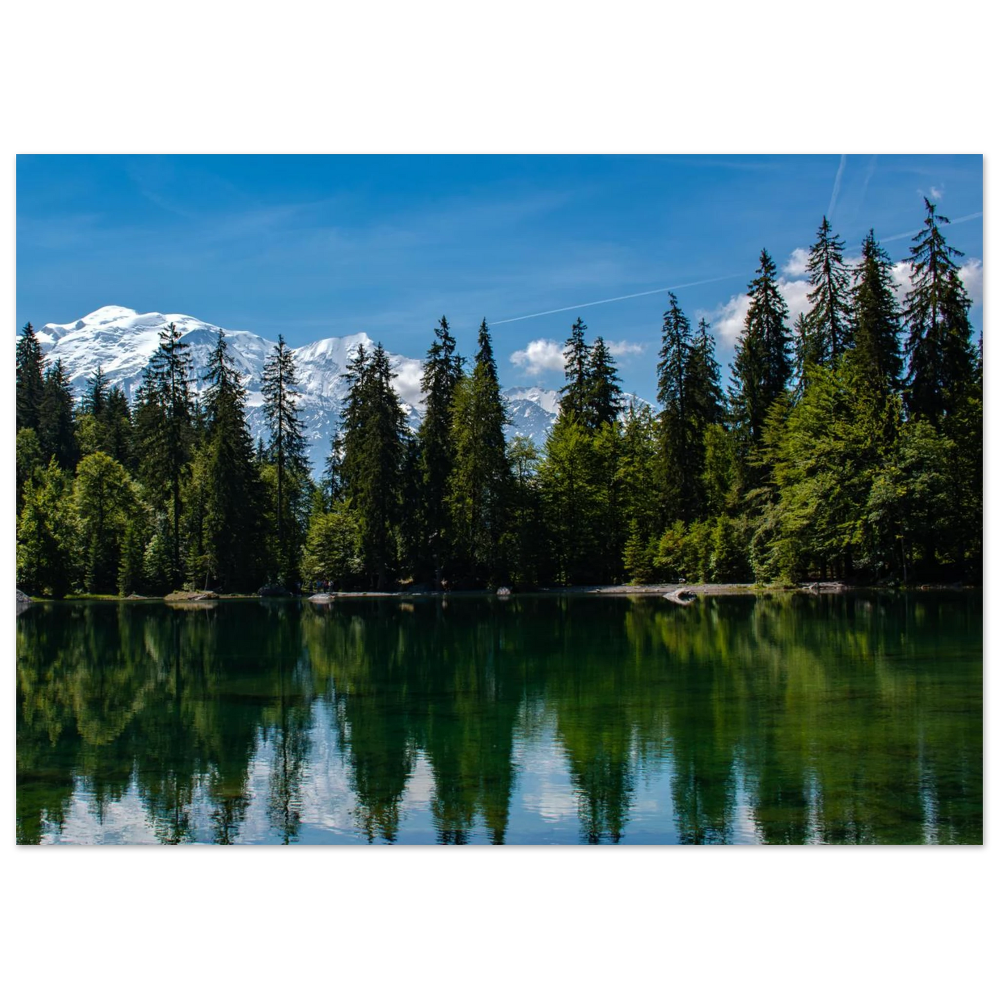 d79a8afb-c7b2-4209-a0b2-2cf4f7342d12