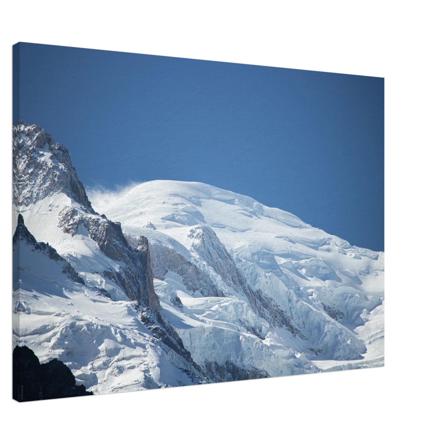 d8b051ab-1d9d-4e86-874d-988c84ec9bd5