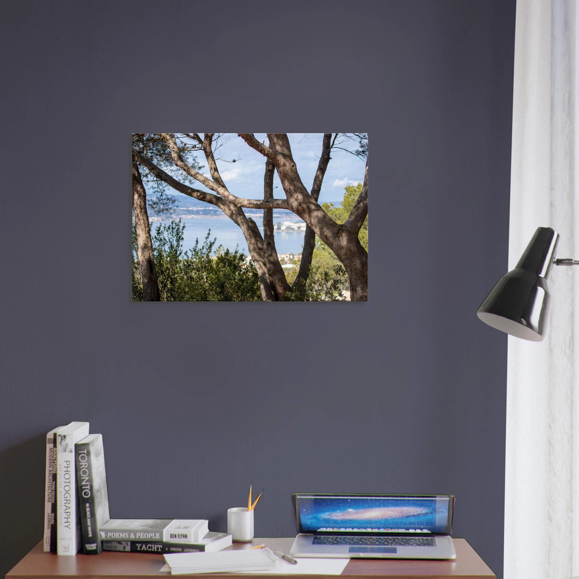 e0365b39-e276-416a-93e6-8d5d75664cce