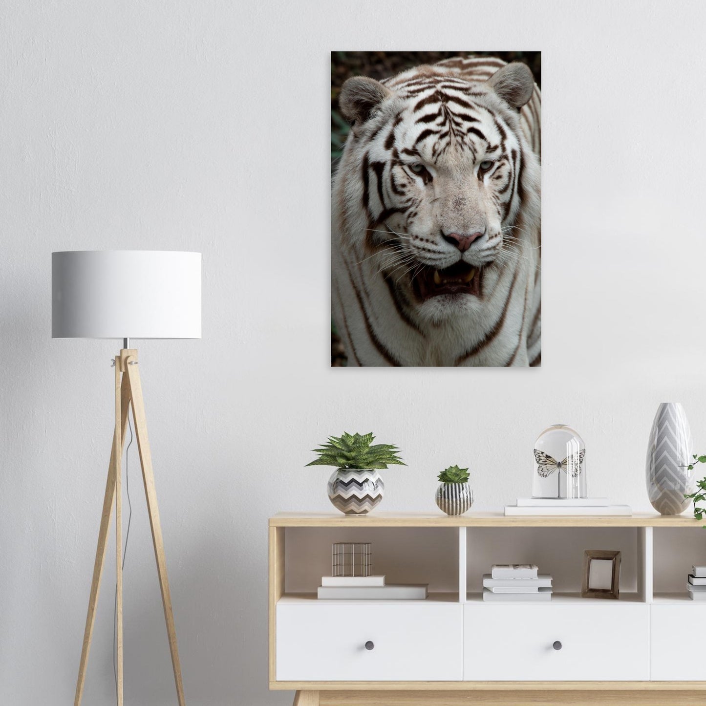 tigre blanc - Tableaux et posters de qualité, disponibles en différentes dimensions et matières.