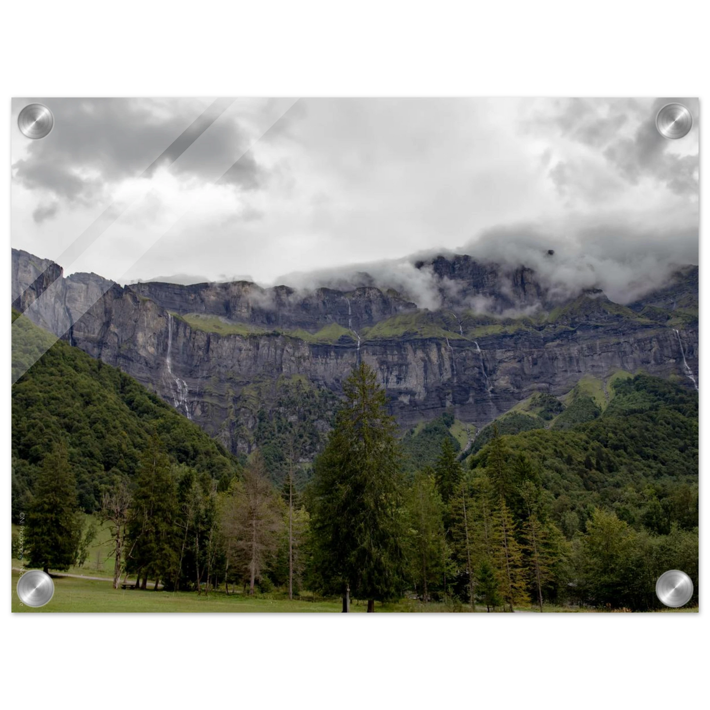 e3e357f9-a578-461b-a421-8d90c2aeca06