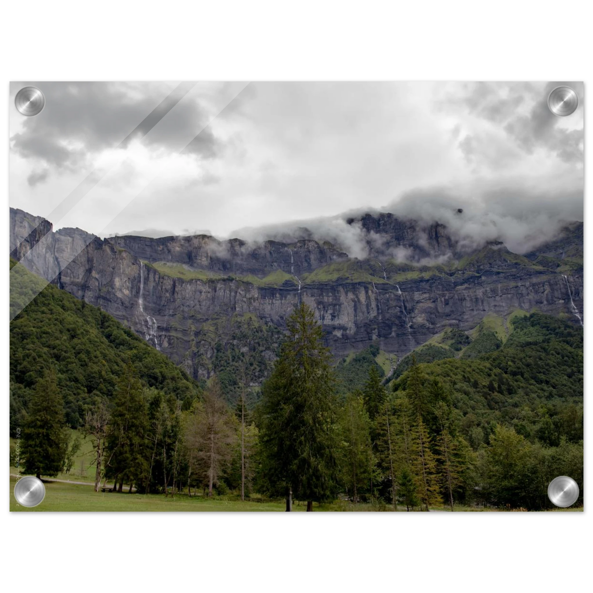 e3e357f9-a578-461b-a421-8d90c2aeca06