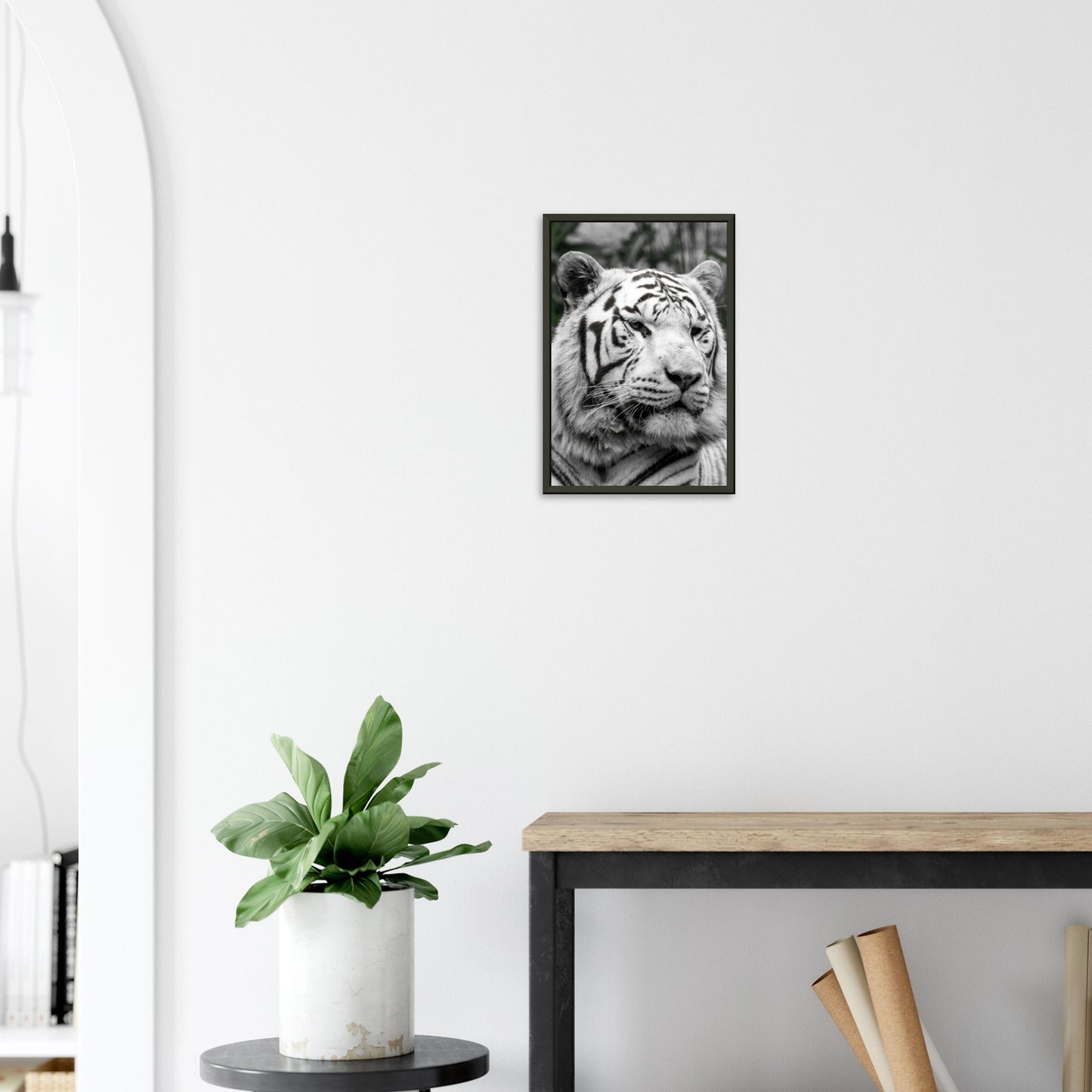 Tigre blanc - Décoration murale