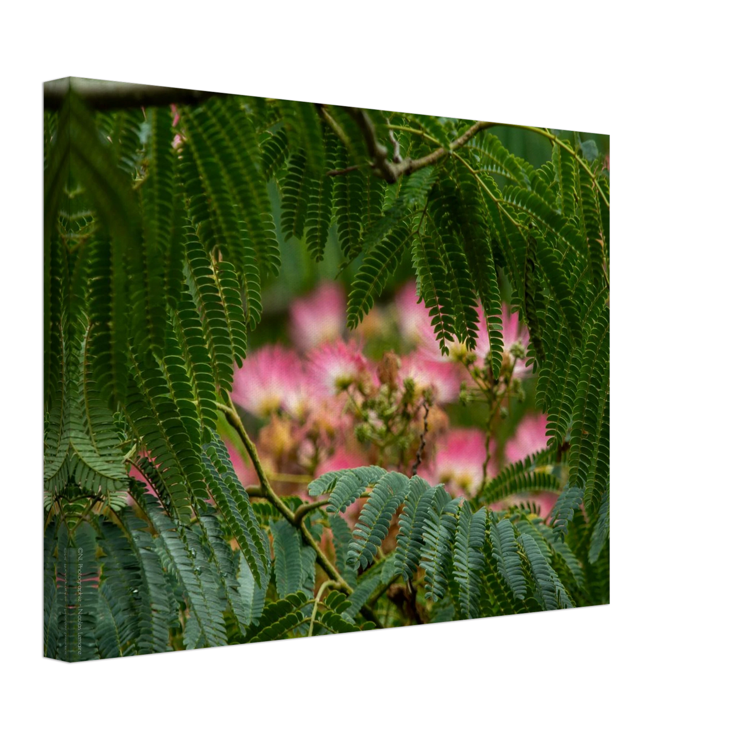 f0279704-b1b4-4517-bc42-4ffe657c3099