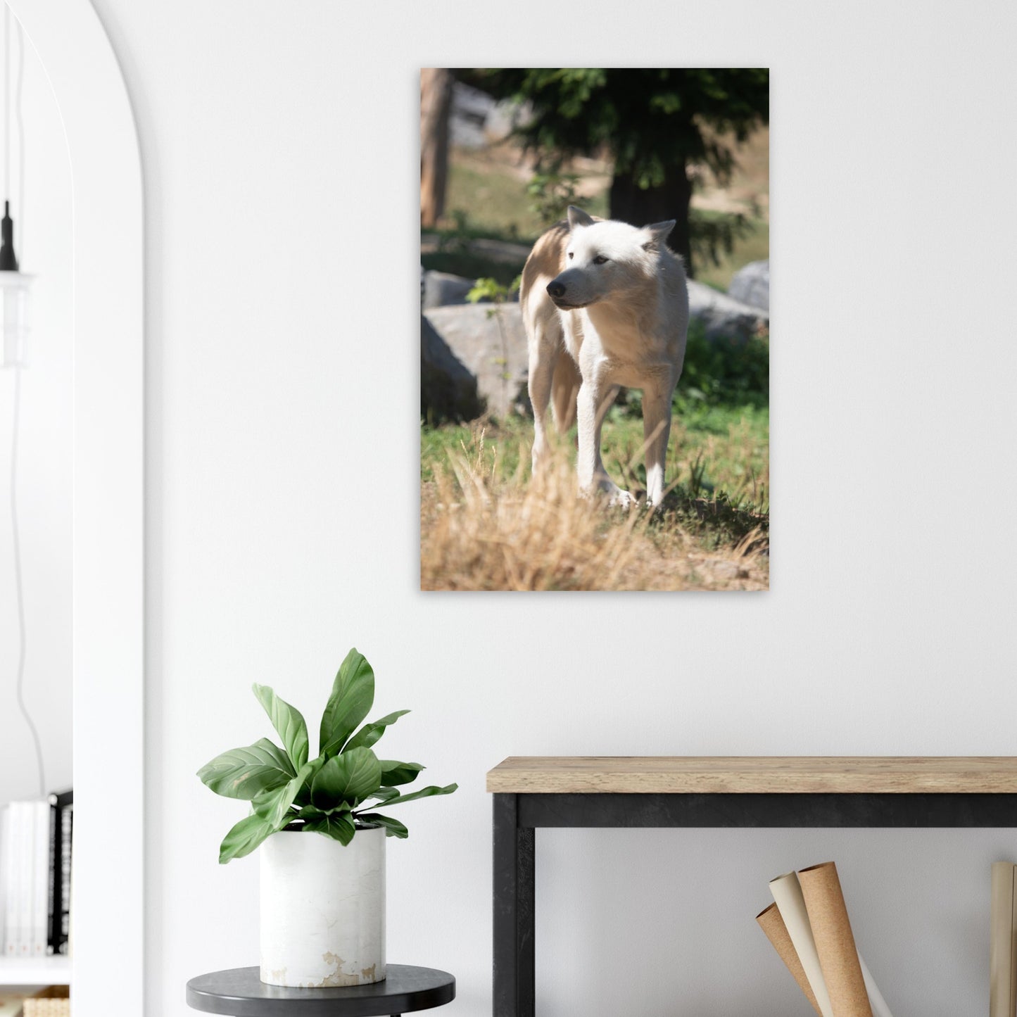 White wolf - Wall decoration