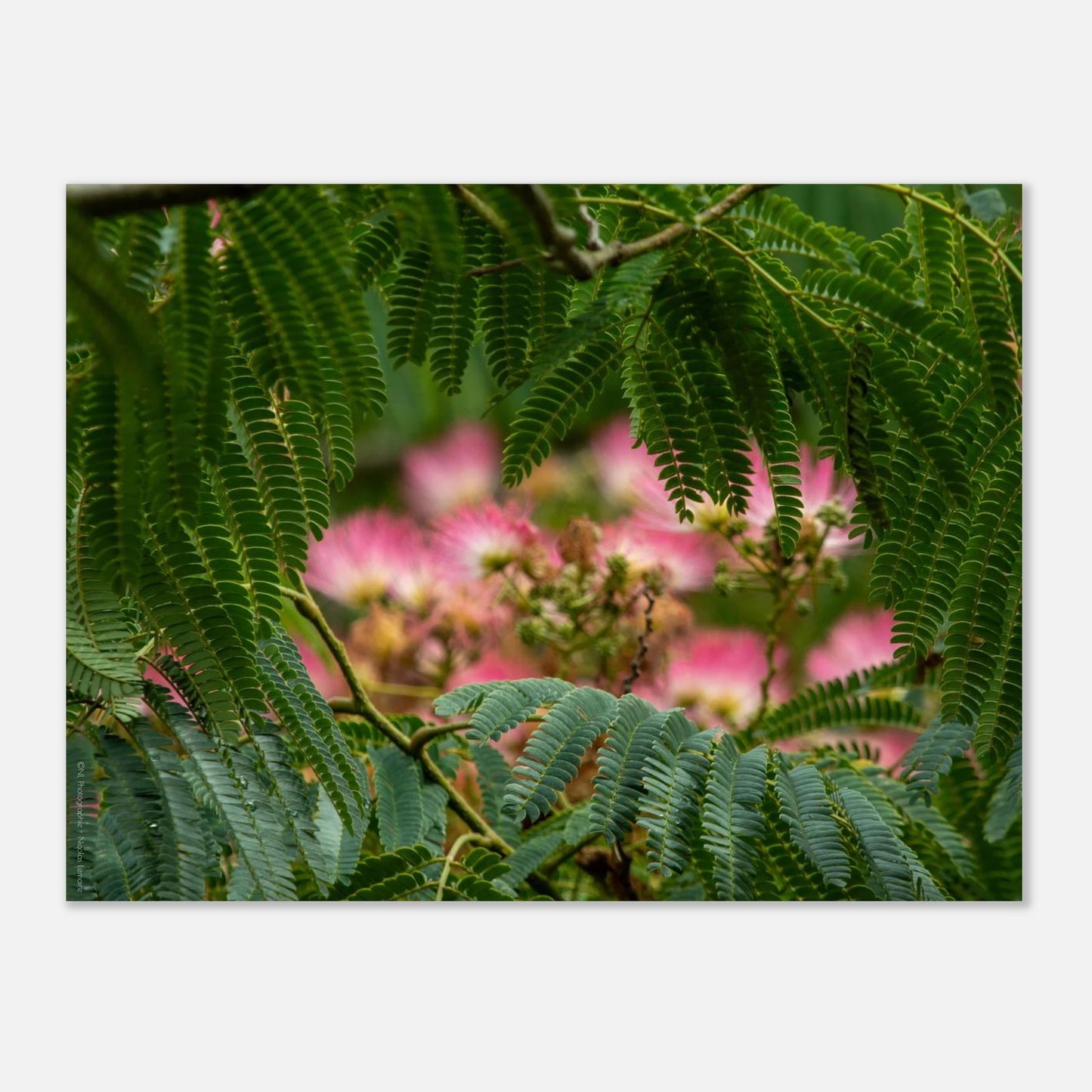 f761db4b-e150-43f8-b421-c591ba90be41