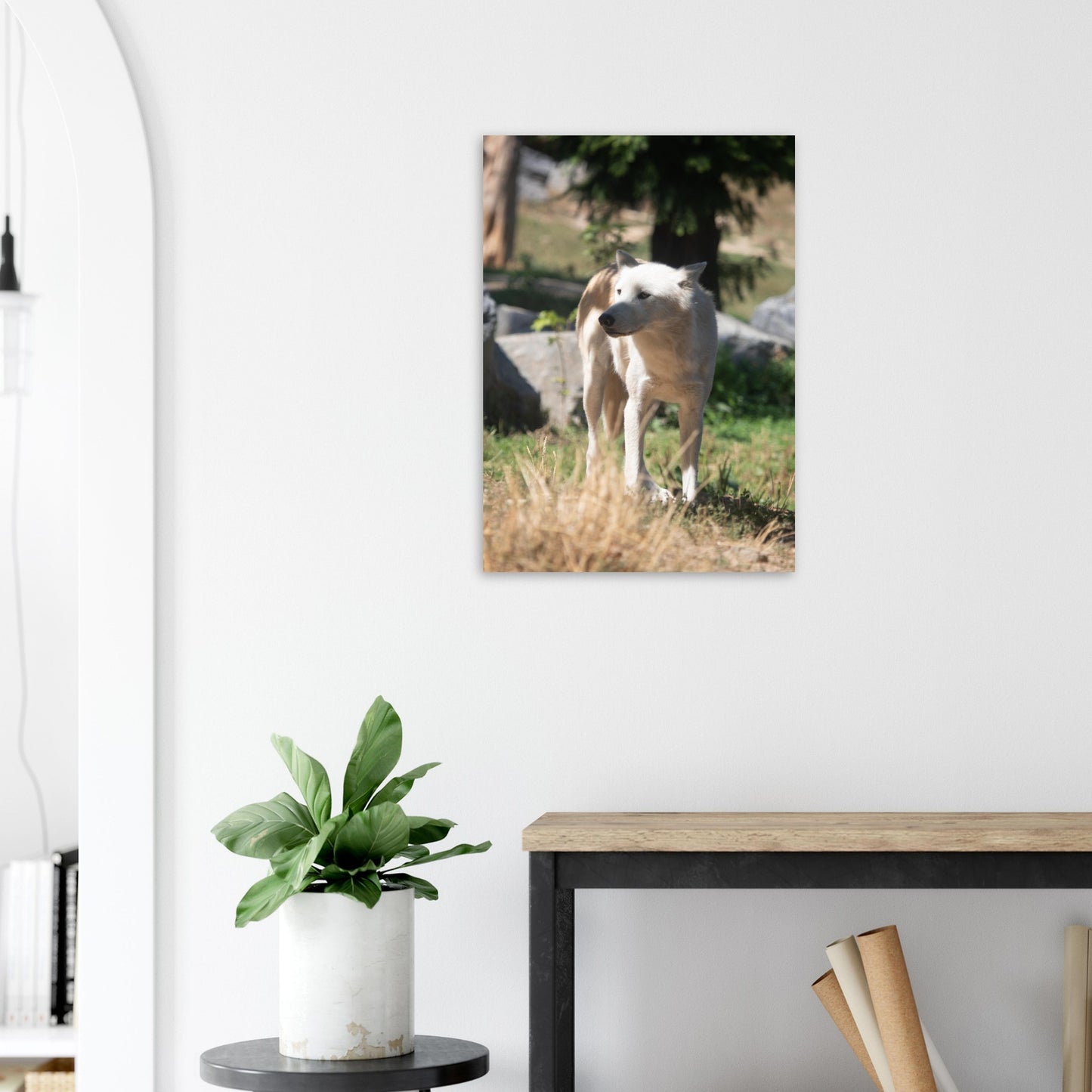White wolf - Wall decoration