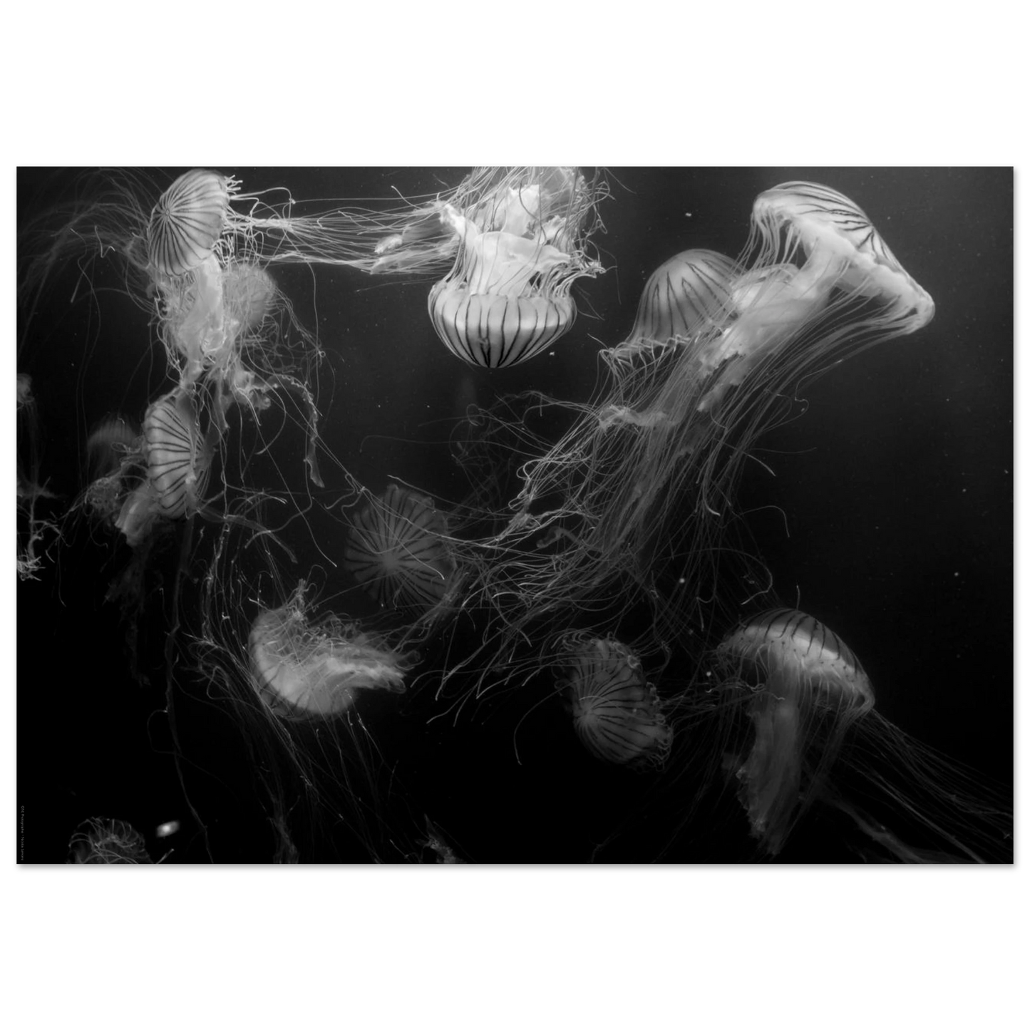 f9dc4b53-26b3-4578-a508-4596115a0af2