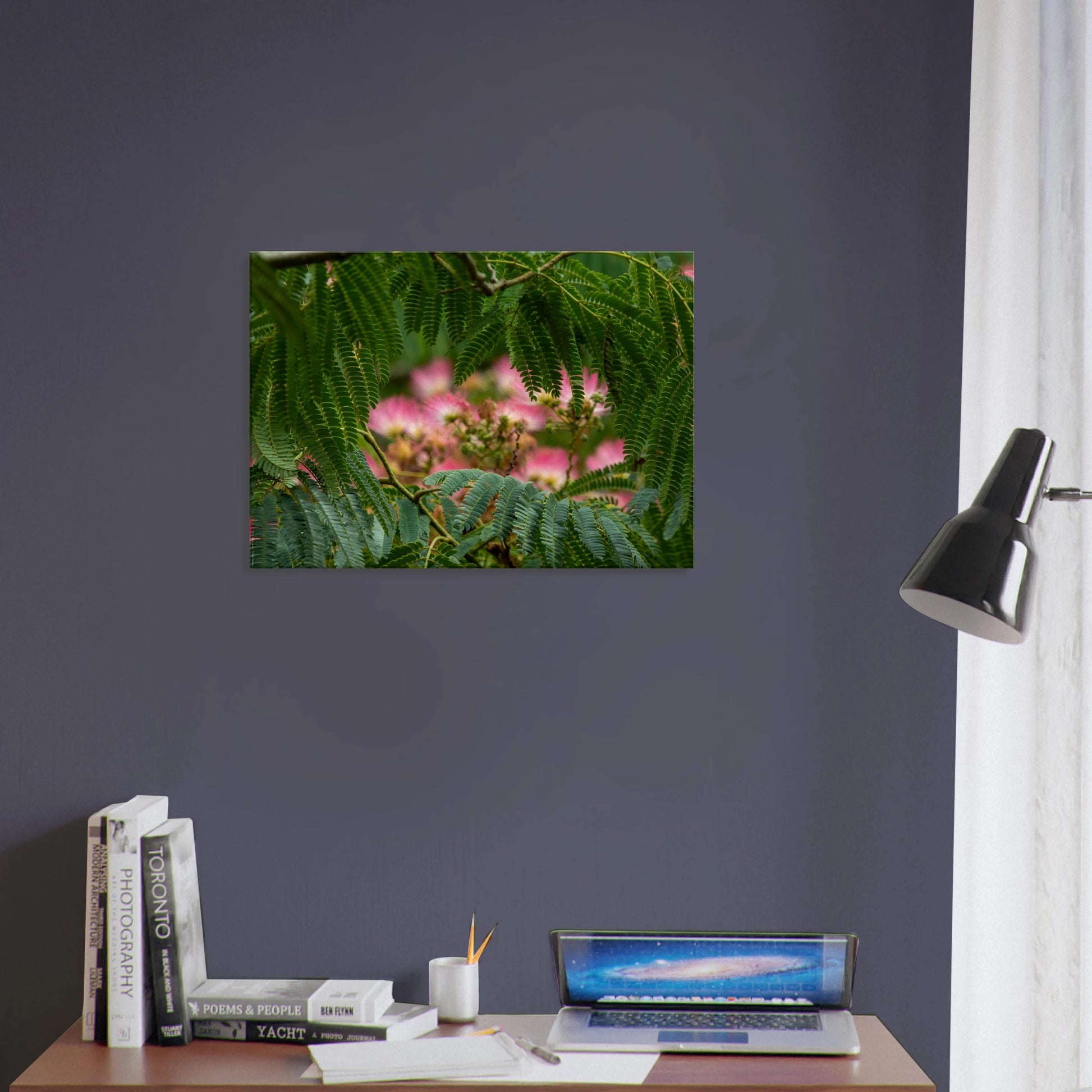 fc261677-b418-409e-bdaa-7e39eb57d682